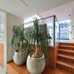 8fb5fdb4-43ae-4063-ba9a-ef27044a5b2a